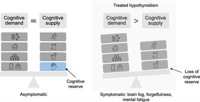 Evaluating health outcomes in the treatment of hypothyroidism